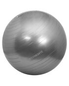 Ballon de gymnastique anti-éclatement gris - D.65 cm